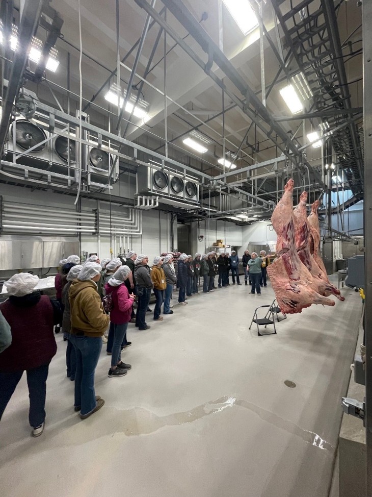 A group of people with caps on standing around beef carcasses. 